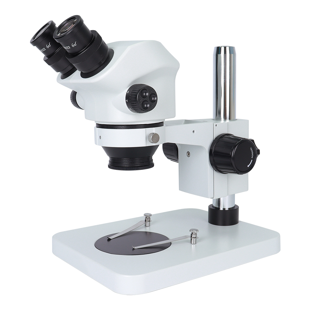 Microscope trinoculaire SANQTI - Jewelry Repair & Watches Durham Nc avis et prix