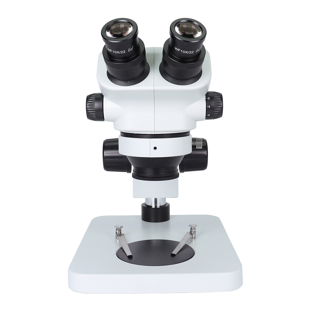 Microscope trinoculaire SANQTI - Jewelry Repair & Watches Durham Nc avis et prix